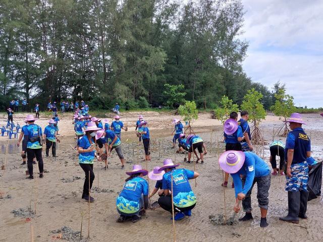 โครงการปลูกป่าชายเลน เนื่องในวันสิ่งแวดล้อมโลก (Environment Day) ประจำปี 2565